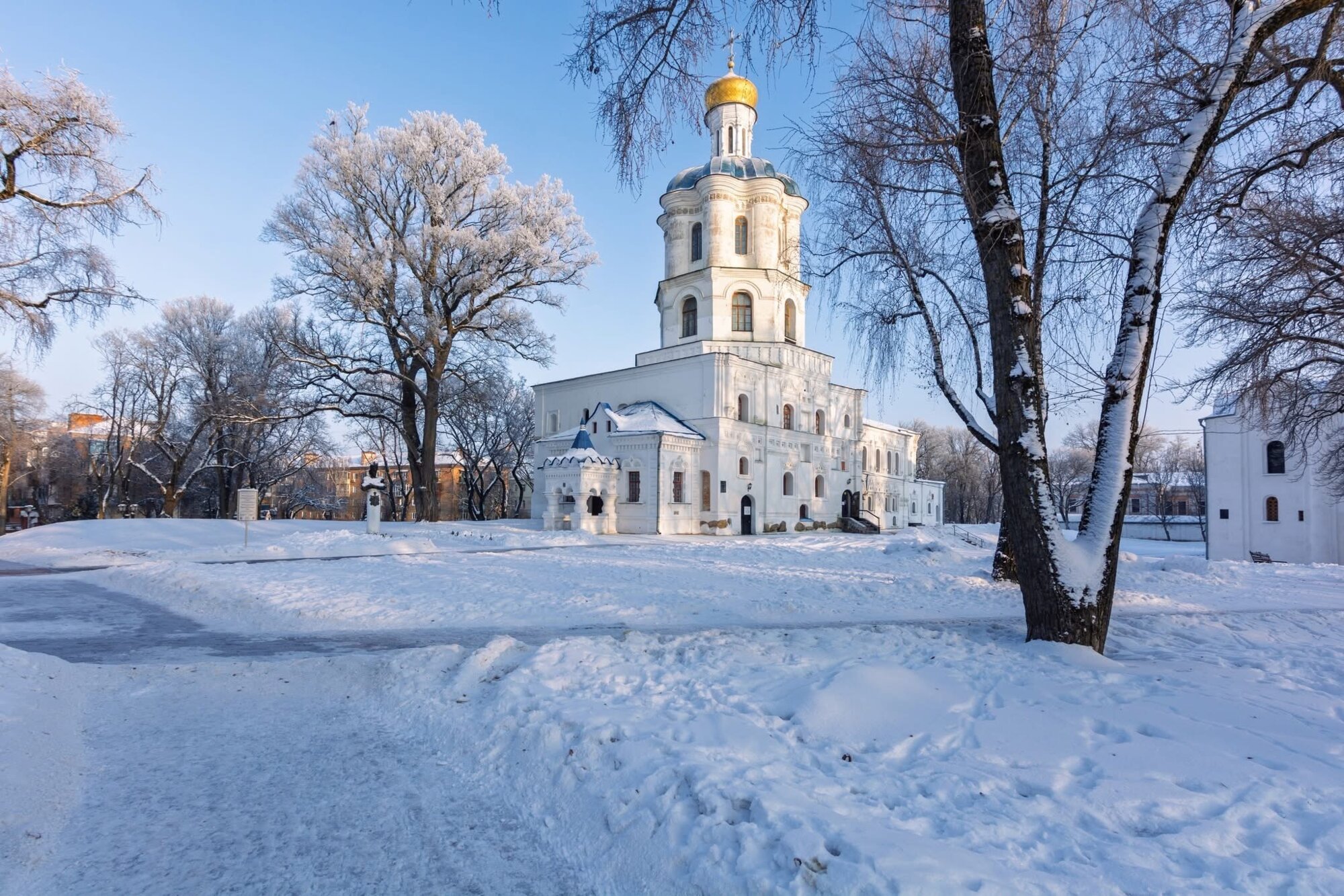 Сніг, який ми бачимо, насправді не білий