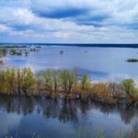 Розлив Десни в Мезинському національному природному парку