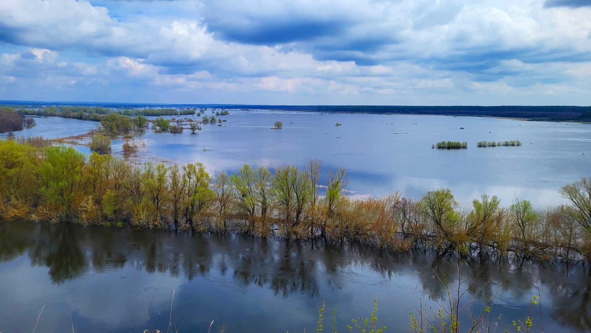 Розлив Десни в Мезинському національному природному парку