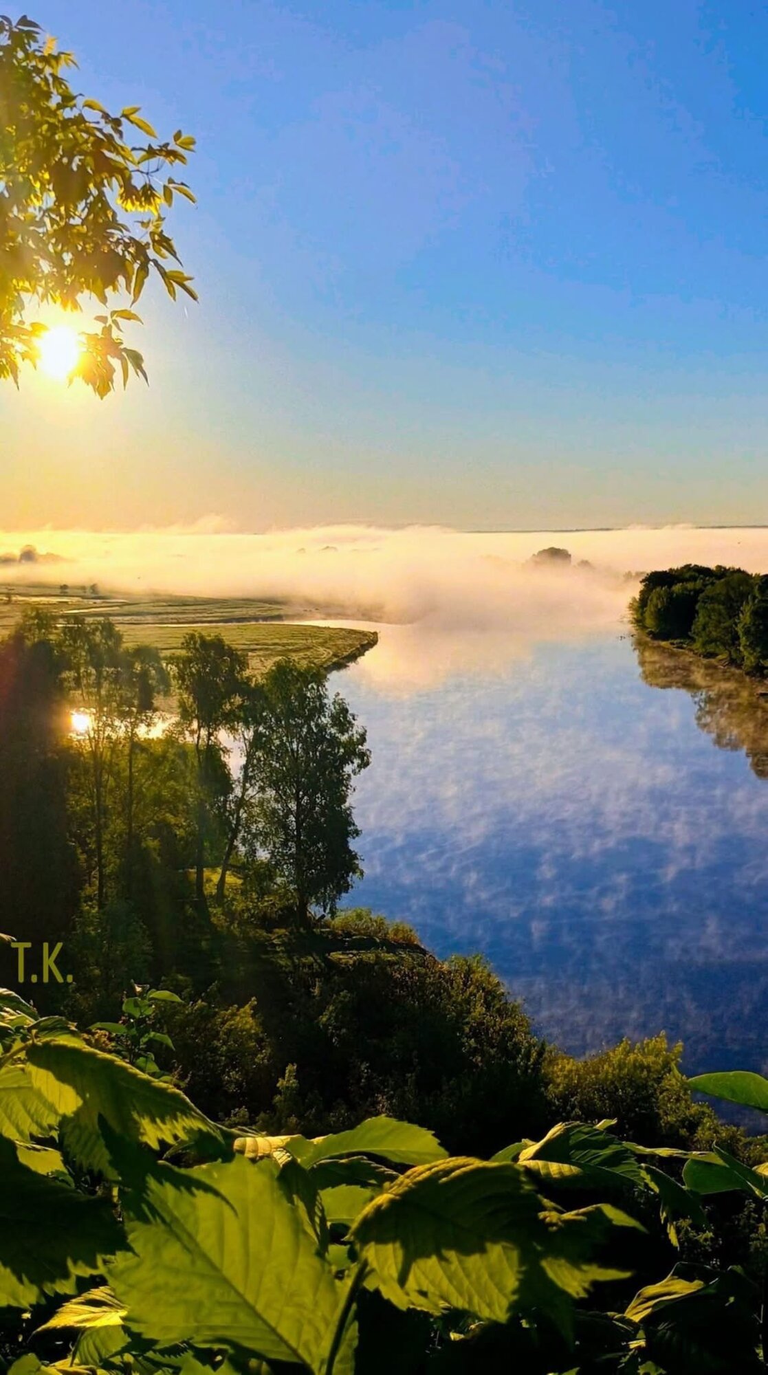 Чарівна Десна