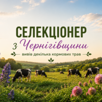 Селекціонер з Чернігівщини вивів декілька кормових трав з  найкращими показниками для використання у тваринництві
