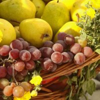 Літо у світлинах