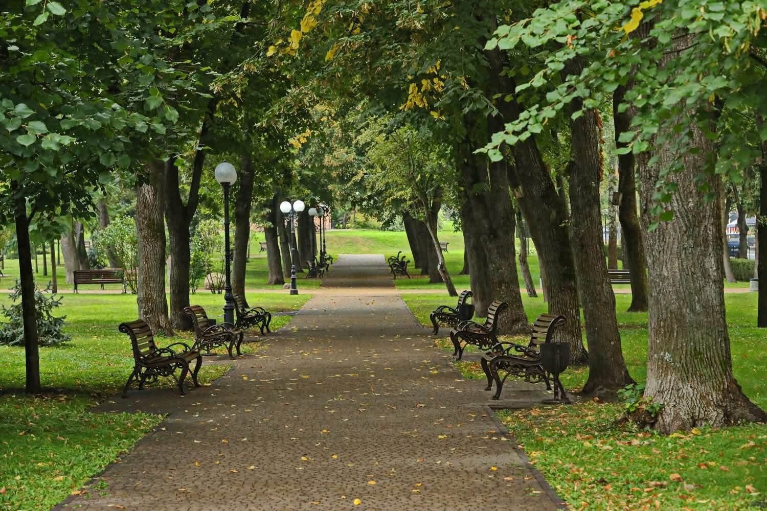 Осінь в Чернігові