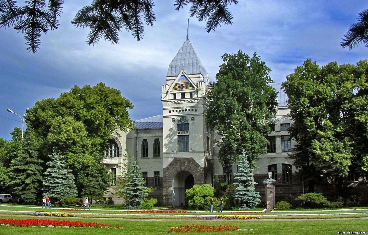 «Google знає не все, що знає бібліотека».