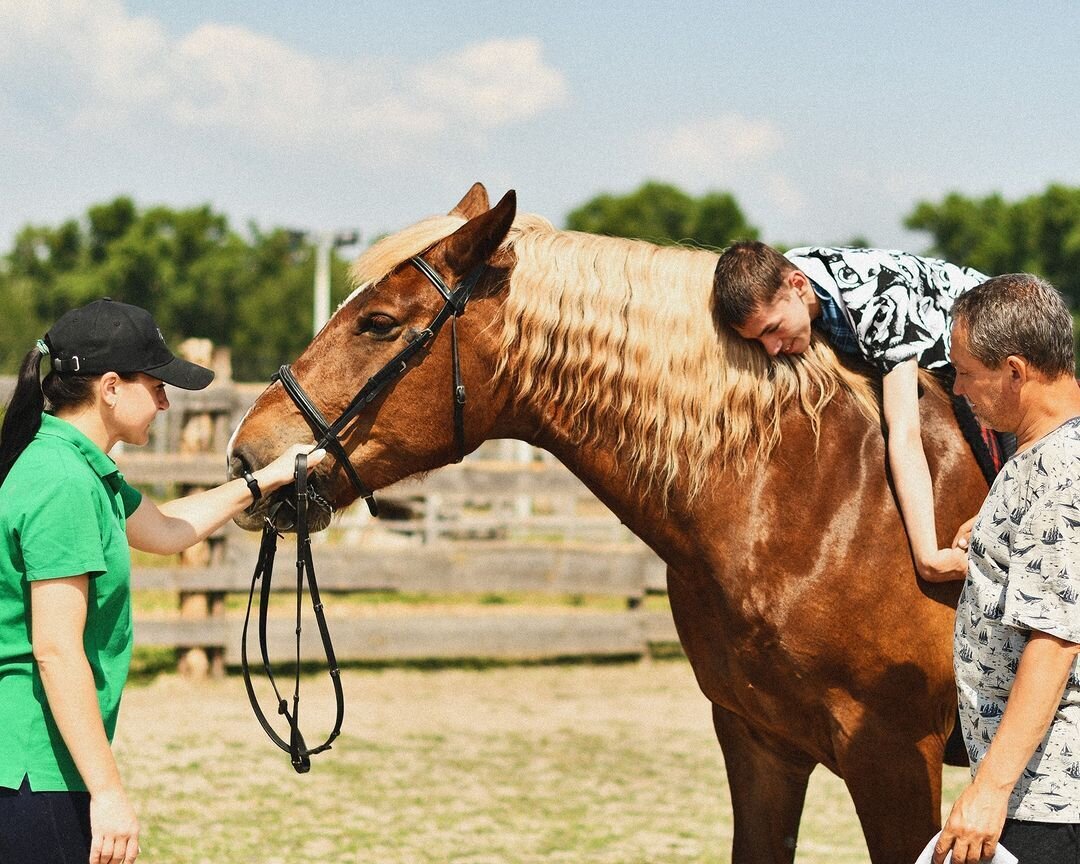 Чернігівщина: кінні прогулянки та оздоровчі катання на конях.