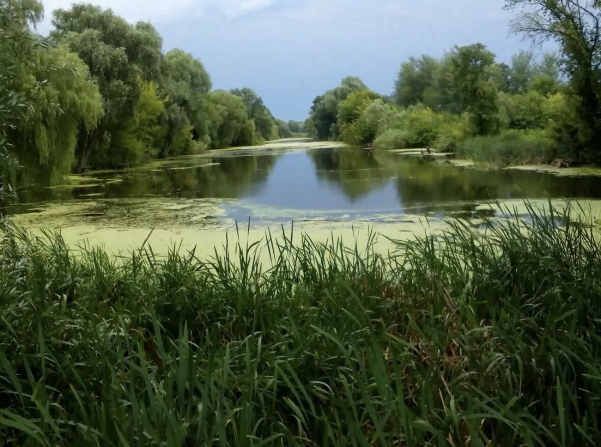 Петергоф був на Чернігівщині