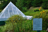 Мезинська палеолітична стоянка первісної людини